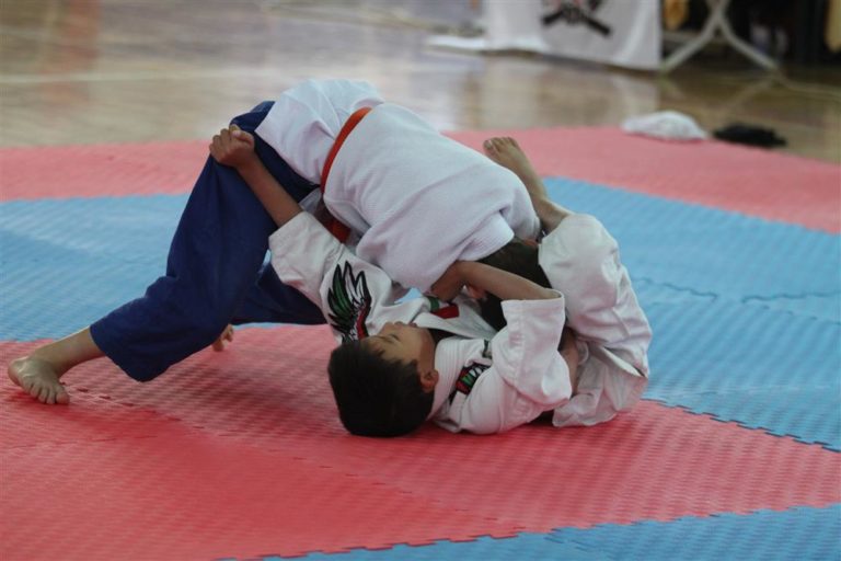Uluslararası Jujitsu Newaza Açık Akdeniz Kulüpler Turnuvası Alanya´da Yapıldı.