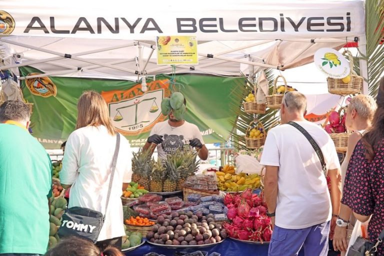 Alanya Tropikal Meyve Festivali – Avokado – Mango